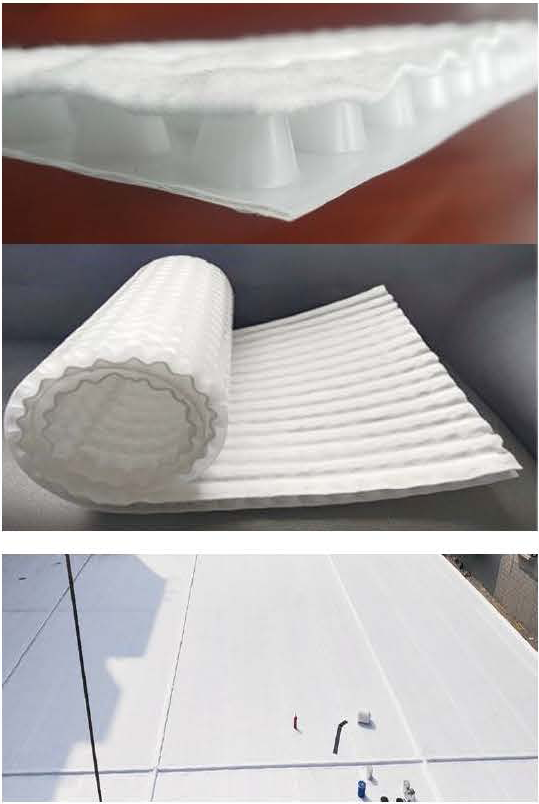 圖層 5.png 圖層 5.png